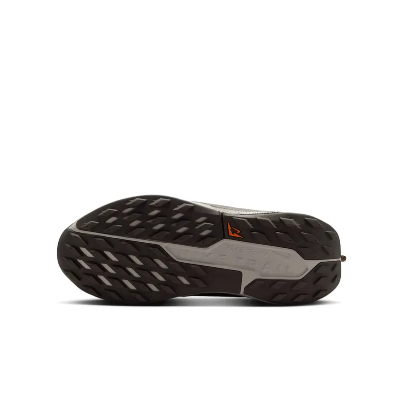 Nike Pegasus Trail Bruin (FV5638-201)