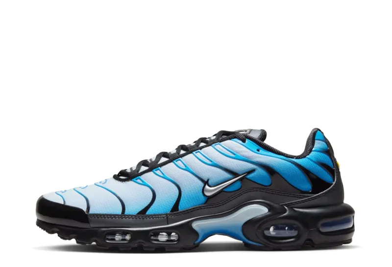 Nike Air Max Plus Blue Gradient (FQ0204-010)