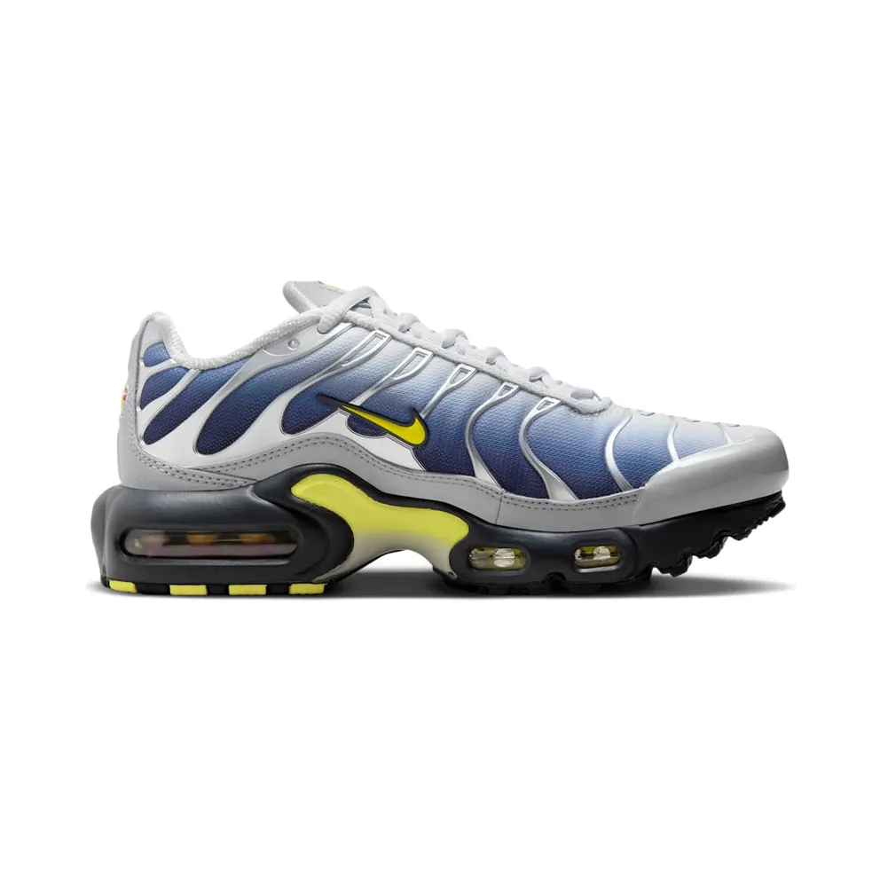 Nike Air Max Plus Obsidian Silver (HF0030-001)