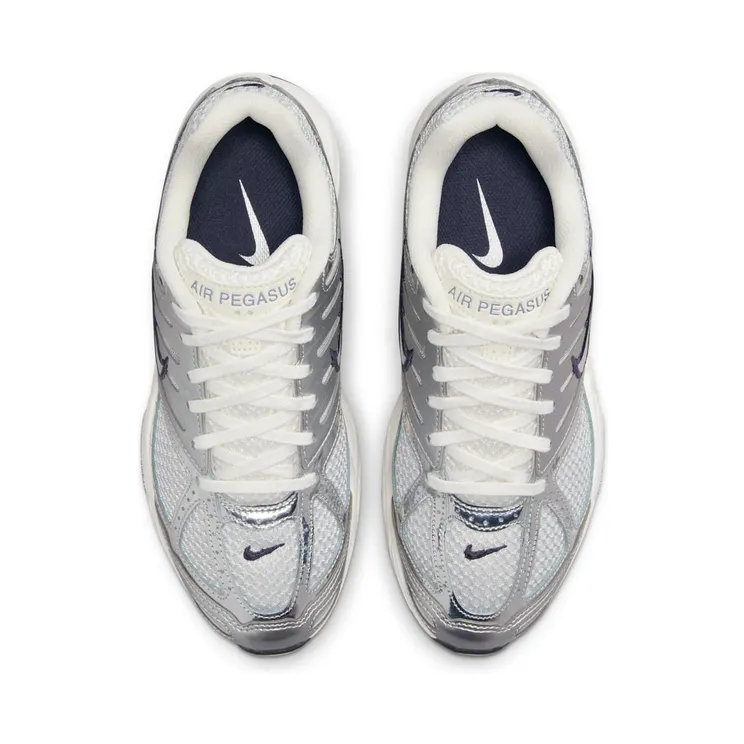 nike-air-pegasus HJ7310-025
