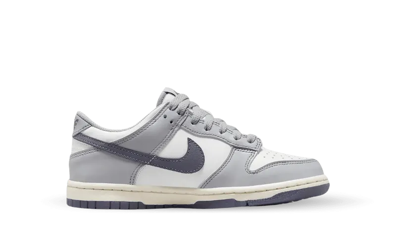 Nike Dunk Low SE Light Carbon Grey (GS) (FB9109-101)