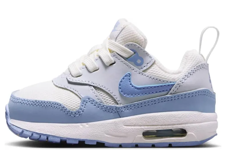 Nike Air Max 1 DZ3309-116