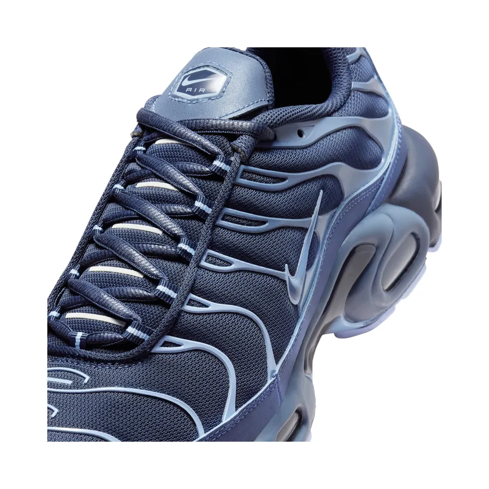 Nike Air Max Plus Obsidian Aluminum (IM6601-451)