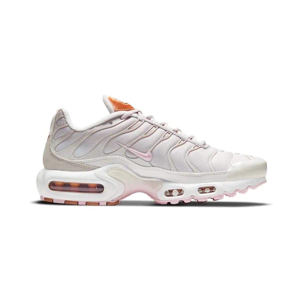 Nike Air Max Plus Grey (DD6612-001)