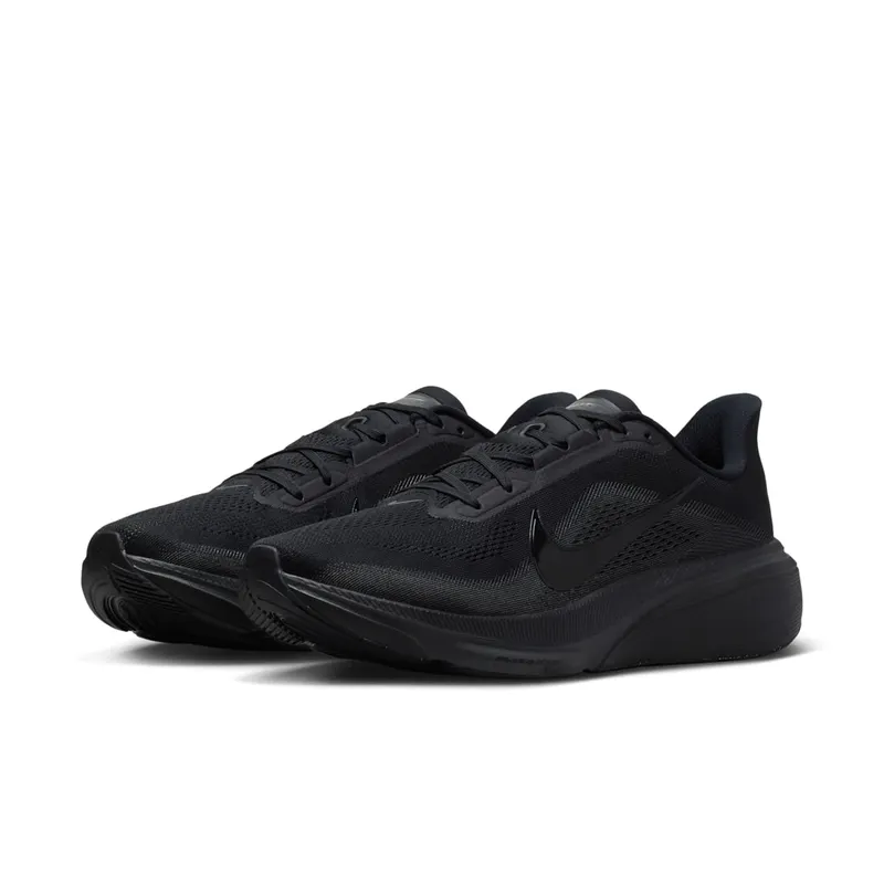 Nike Pegasus Black/Anthracite/Black (IB1873-003)