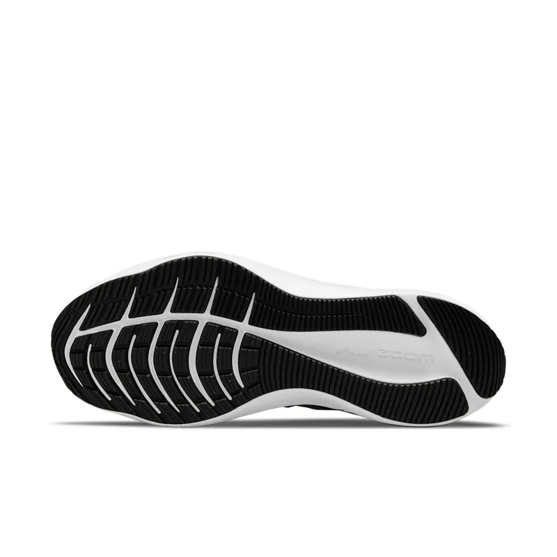 Nike Winflo 8 Road Running Black (CW3421-005)