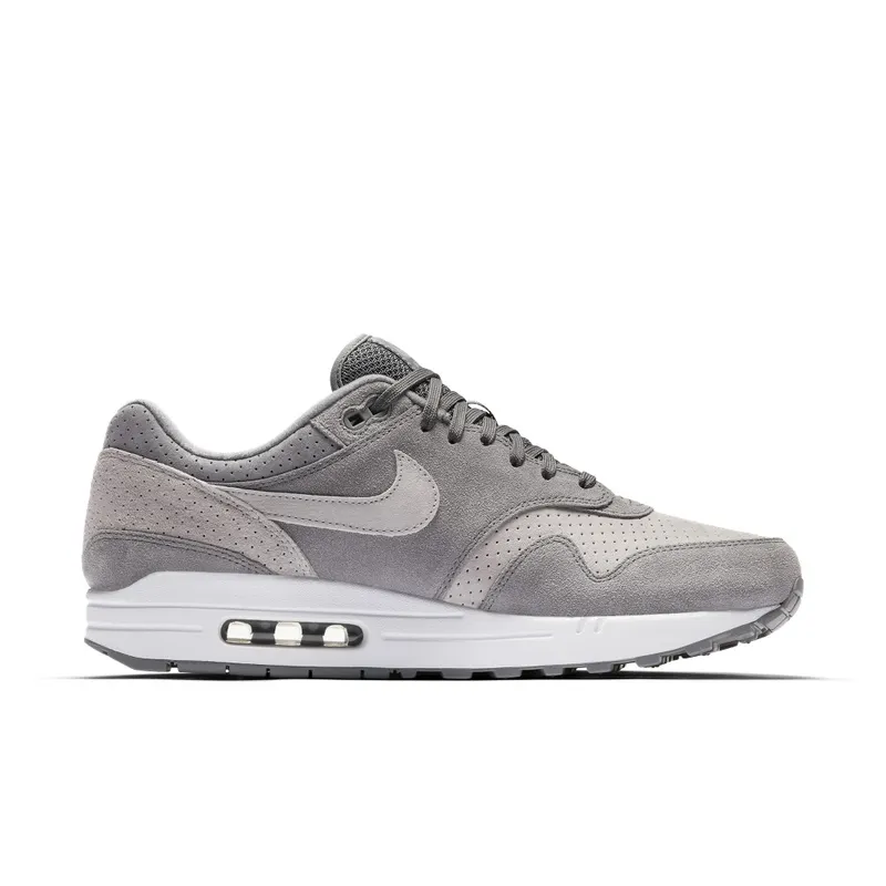 Nike Air Max 1 Cool Grey Wolf Grey (2018) (875844-005)