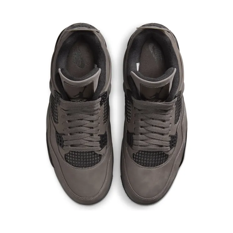 air-jordan-4 FV5029-200