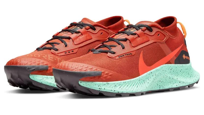 nike-air-pegasus DC8793-800