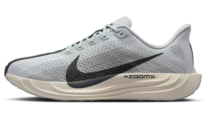 Nike Pegasus Pure Platinum/Wolf Grey/Sail/Anthracite (FQ7262-017)