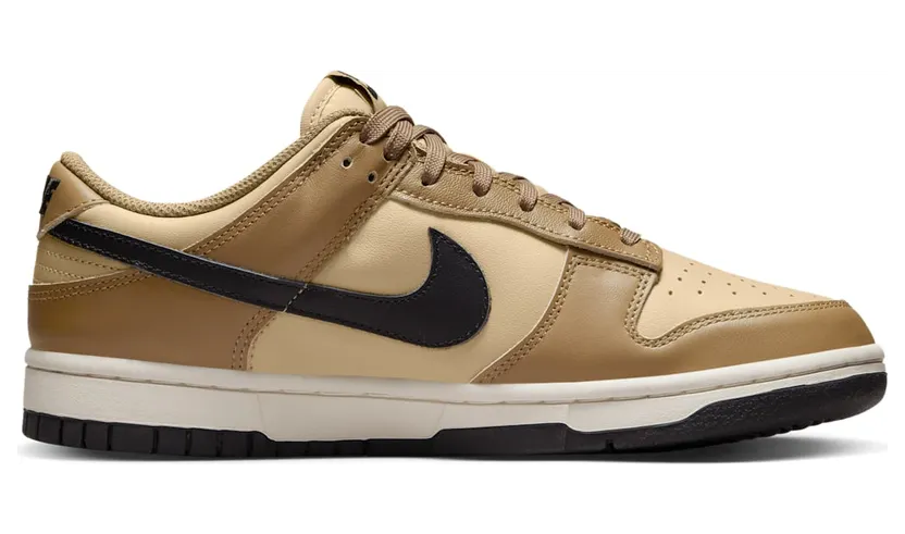 nike-dunk DD1503-200