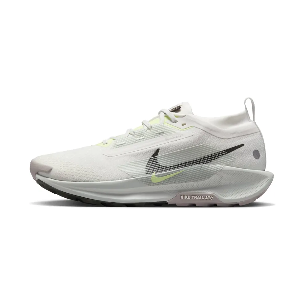 Nike Pegasus Trail 5 Gore-Tex Summit White Light Silver College Grey Sequoia (FQ0908-102)