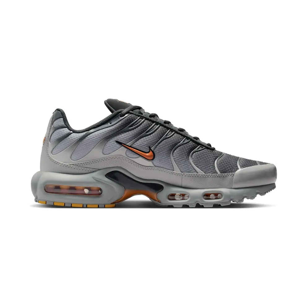 Nike Air Max Plus “Light Smoke Grey Hot Curry” (DM0032-037)