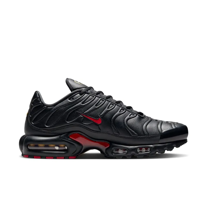 Nike Air Max Plus Premium Bred (FZ3038-001)