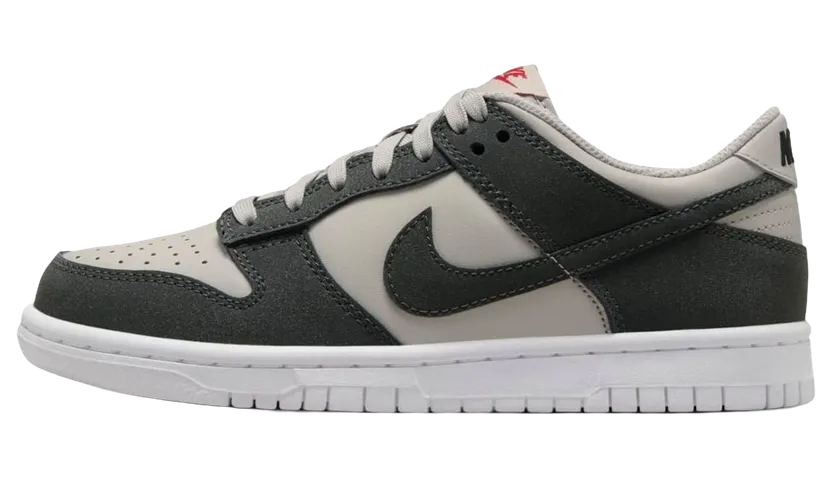 Nike Dunk Low GS “Anthracite” (FZ1000-001)