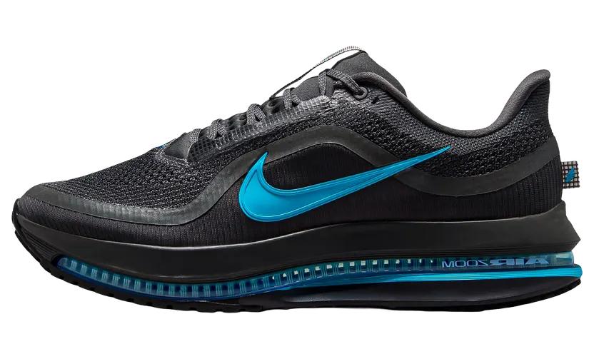 nike-air-pegasus HQ2592-018