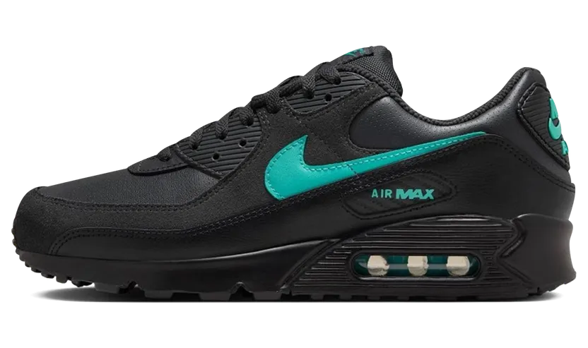 Nike Air Max 90 (dk smoke grey / clear jade ii / black /white) – IF0670-002