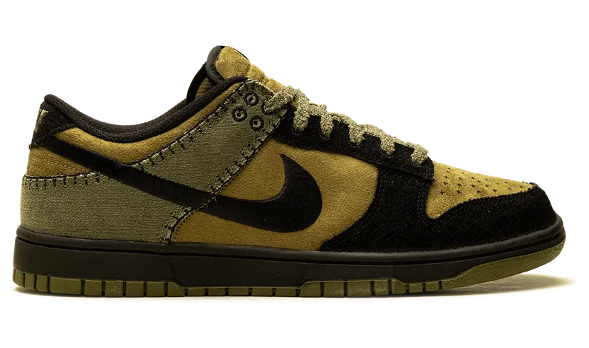 nike-dunk HV4452-300