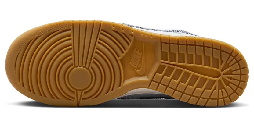 nike-dunk FN6881-100