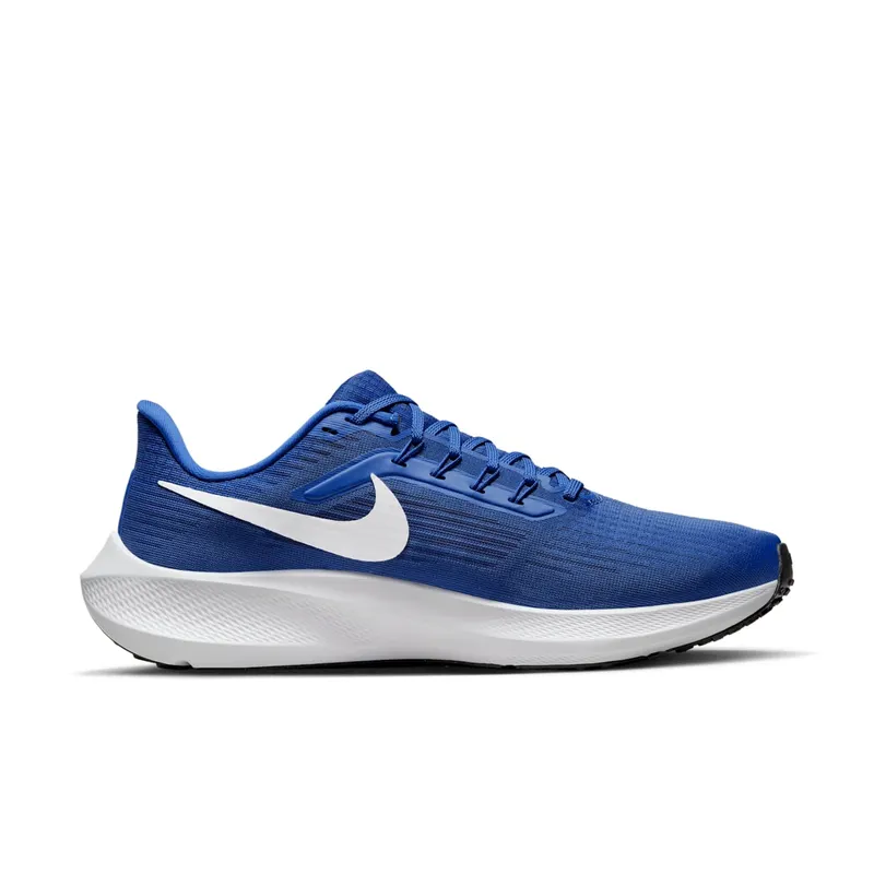Nike Air Zoom Pegasus 39 TB Game Royal (DM0164-402)