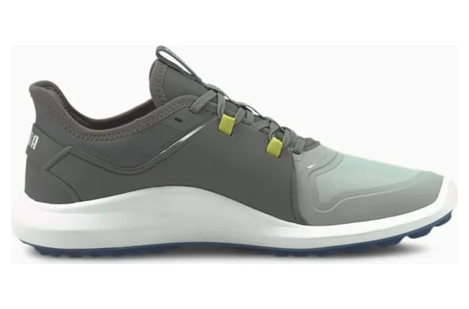 Puma IGNITE FASTEN8 Pro golfschoenen Grijs/Zilver (194466-05)