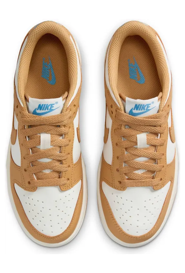 nike-dunk FB9109-700