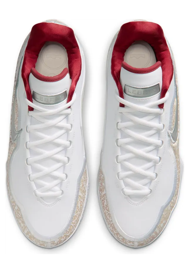 nike-lebron IM5125-100