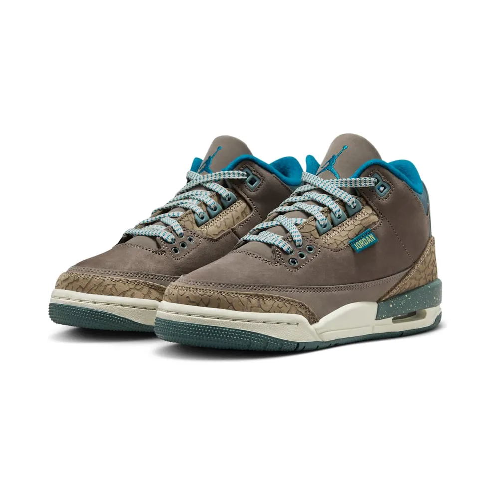 Air Jordan 3 GS “We Outside” (IB7066-001)