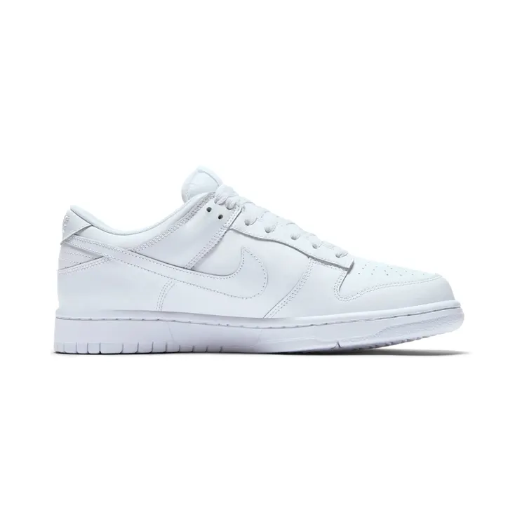 nike-dunk 904234-100