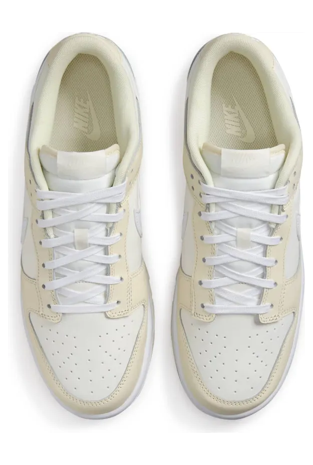 nike-dunk DJ6188-100