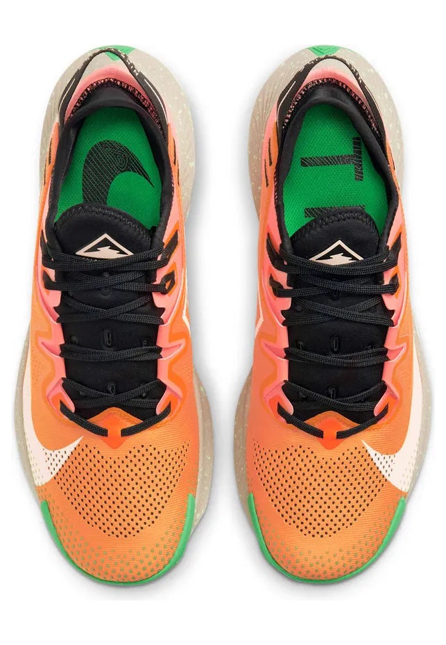 nike-air-pegasus CK4305-800