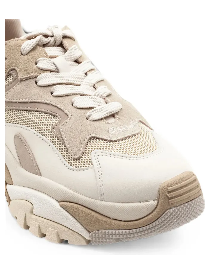 ash-sneaker ADDICT01  TALVA