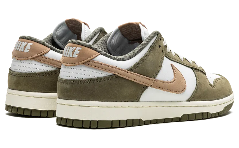nike-dunk FQ8250-200