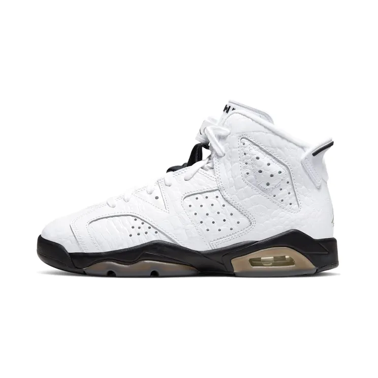 Air Jordan 6 Retro GS Alligator (384665-110)