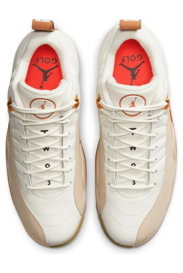 air-jordan-12 DM9016-109