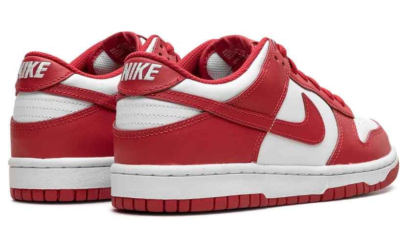 nike-dunk FB9109-119
