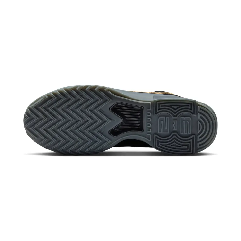 Nike LeBron Black/Iron Grey/Dark Smoke Grey/Black (HQ8034-003)
