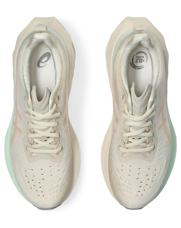 asics-novablast 1012B510.250