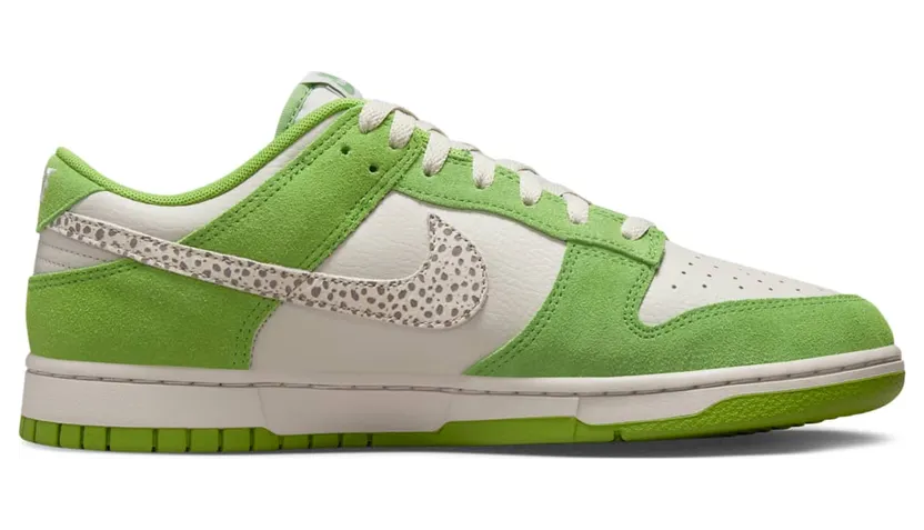 nike-dunk DR0156-300