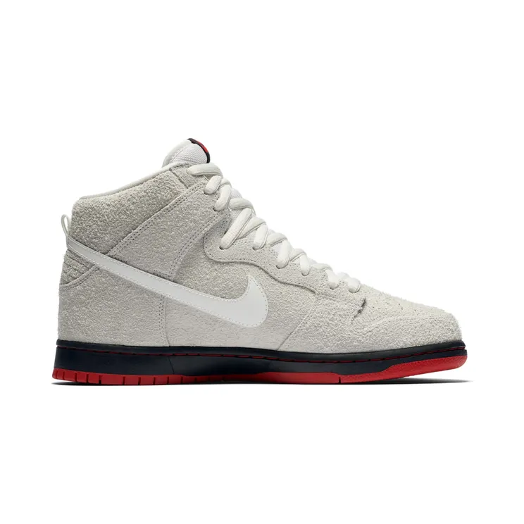 nike-dunk-sb 881758-110