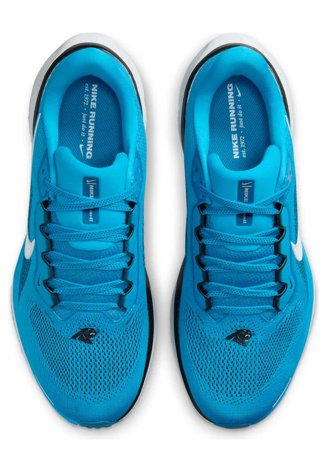 nike-air-zoom FZ5091-400