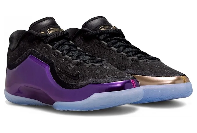 Nike LeBron 23 The Chosen One and The One Who Chose (IQ6709-001)