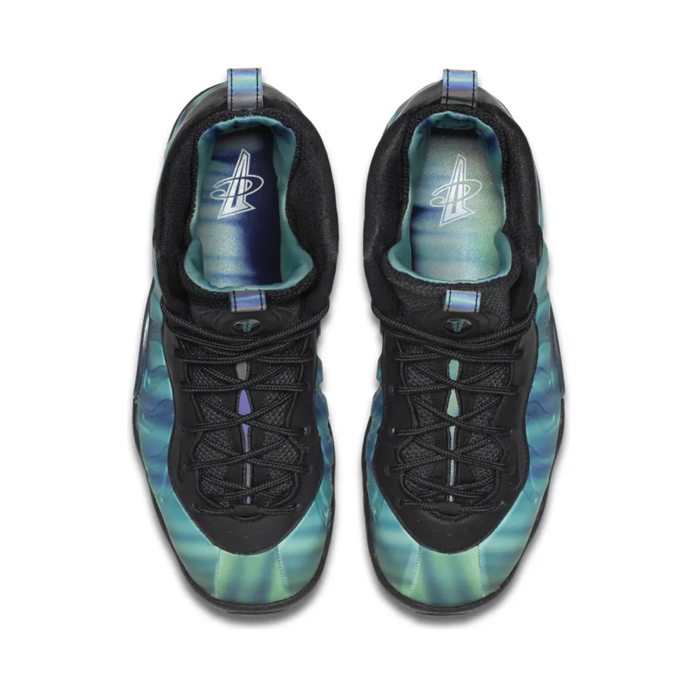 Nike Air Foamposite One Northern Lights (GS) Black/Green Glow-Fierce Purple (842399-001)