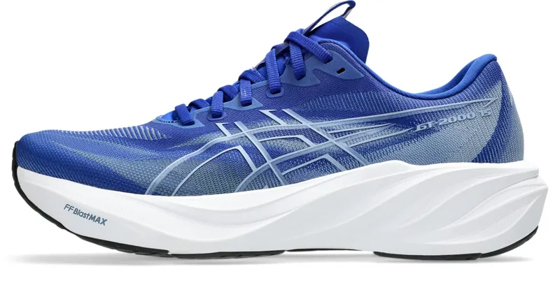 ASICS GT-2000 15 “Prussian Blue / White” (1011C235-400)