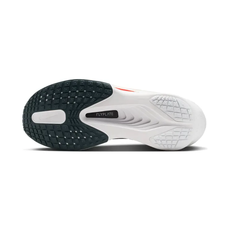 nike-zoom IQ9405-411