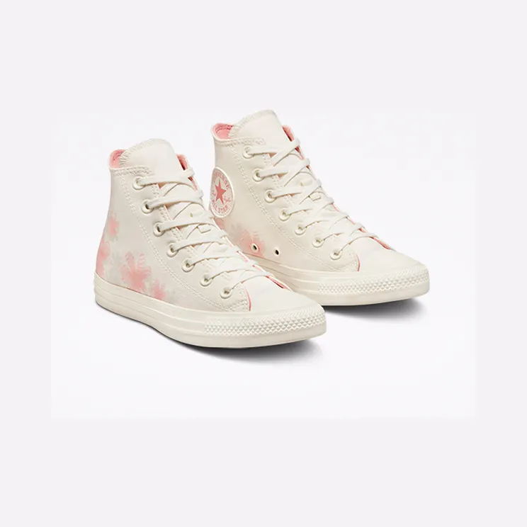 converse-chuck-taylor-all-star A01713C