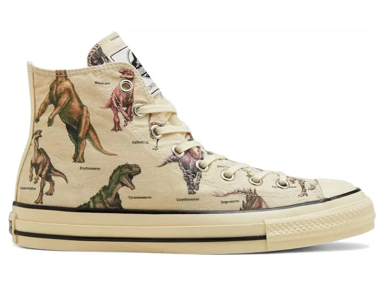 Converse Chuck Taylor All Star 31315570