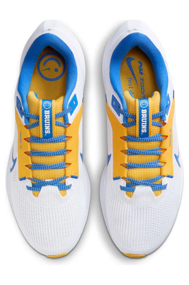 nike-air-pegasus DZ5988-100