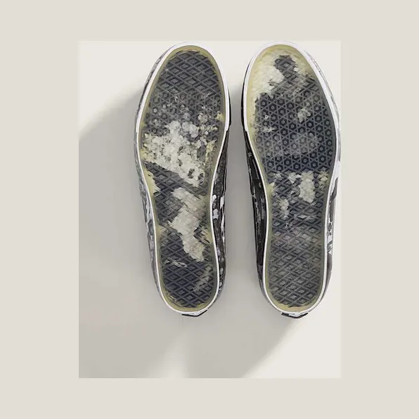 vans-authentic VN000EEUGC7