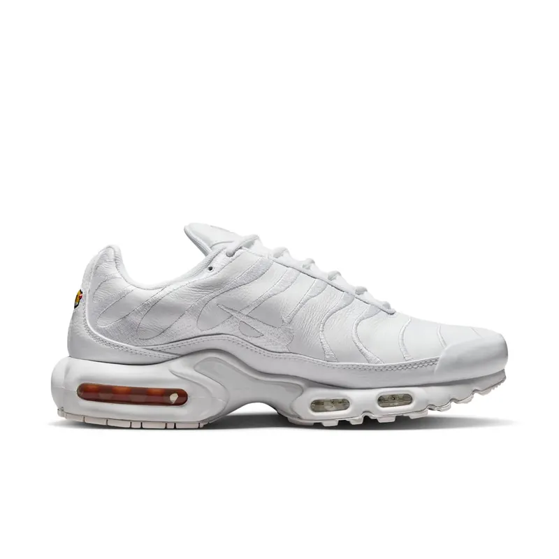 Nike Air Max Plus White (AJ2029-100)